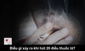 Xem phản ứng kinh dị của lá phổi khi thí nghiệm với thuốc lá