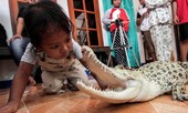 Bé gái 3 tuổi ngủ chung với cá sấu, chơi với trăn và bọ cạp