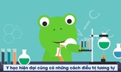 Bạn có biết 'ăn phân' lại có thể chữa bệnh rất hiệu quả