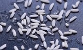 Tuyệt chiêu lật tẩy gạo nhựa, cà phê bẩn, thực phẩm giả