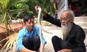 Lão nông nuôi 'bạch xà' làm thú cưng ở An Giang