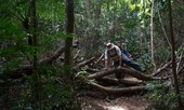 Brazil mở cửa tuyến đường mòn trong rừng dài 8.000 km