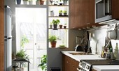Những cây trồng hữu ích trong nhà bếp