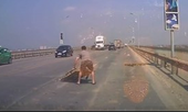 Hành động đẹp: Tài xế nhặt vật cản kích thước lớn trên cầu Thăng Long