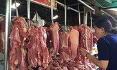 Lý giải nguyên nhân giá thịt lợn tăng cao kỷ lục
