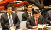 Giải pháp ‘Hai nhà nước’ ngày càng xa vời với Israel, Palestine