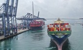 Hậu quả lâu dài của chiến tranh thương mại Mỹ - Trung