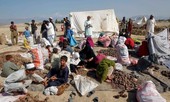 Bức thư tố cáo tội lỗi của Mỹ ở Afghanistan
