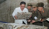 Triều Tiên tung loạt ảnh ông Kim thăm nhà máy cá