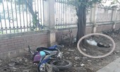 Kinh hãi phát hiện người đàn ông nằm chết dưới gốc cây ở Hà Nội