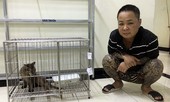 Vì sao giang hồ khét tiếng Dũng 'bóng nhựa' bị bắt?