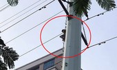 Thanh niên 'ngáo đá' ngồi vắt vẻo trên cột điện cao thế hơn 1 tiếng đồng hồ