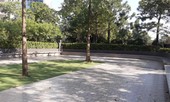 Hội Bảo vệ Quyền trẻ em lên tiếng vụ bé trai 12 tuổi bị đánh chấn động não