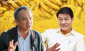 Thaco đã chi gần 1.000 tỷ nắm vốn công ty của bầu Đức?