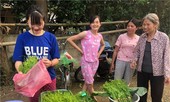 Cô bé bán rau rừng 'duyên ơi là duyên' khiến dân mạng phát sốt