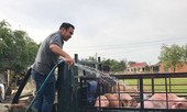 Ngọc Sơn tiết lộ Quyền Linh là MC giàu nhất với gần chục nhà, sống tốt với bạn