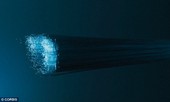1001 thắc mắc: Vì sao cá mập thích cắn cáp quang biển?