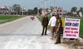 Nghệ An phát hiện ổ dịch tả lợn Châu Phi thứ 3