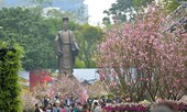 Lần đầu tiên chọn Đại sứ thiện chí Hoa anh đào
