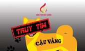 Casting diễn viên đặc biệt 'cậu Vàng' cho phim dang dở của 'Chí phèo' Bùi Cường