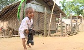 VTV đặc biệt về cậu bé tí hon K’Rể