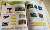 Chủ quyền biển đảo xuất hiện trong SGK lớp 1 mới thế nào
