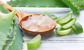 Mẹo đuổi muỗi giúp bạn ngủ không cần mắc màn