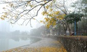 Mưa giảm dần, nhiệt độ tăng nhẹ 2-3 độ C
