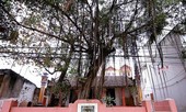 Hà Nội xếp hạng 8 di tích lịch sử