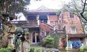 Chưa xử lý vi phạm đất rừng ở Phủ Thành Chương và nhà Mỹ Linh, vì sao?