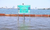Dỡ khu thí điểm lọc nước sông Tô Lịch, chuyển cá Koi Nhật về hồ Tây
