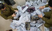 Hà Nội phát hiện hơn 700 'hàng hiệu' nhái Chanel, Gucci..