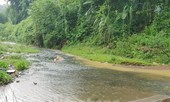Chưa có nhà máy nước nào xử lý được dầu thải