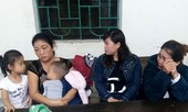 Thuê nhiều ki-ốt ở đồi thông để hành nghề mại dâm