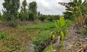 Người đàn ông nghi bị hàng xóm giết chết, bỏ xác dưới kênh