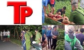 Bản tin Hình sự: Đánh số 30 'chân dài' để khách nước ngoài chọn mua dâm