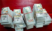 Gần nửa triệu USD được tuồn từ Campuchia về An Giang