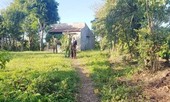 Đâm người tình tử vong vì không rửa chân khi đi ngủ