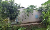 Bé gái 13 tuổi trình báo công an bị cha ruột ép quan hệ tình dục nhiều lần