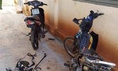 Hơn 100 người liên quan vụ đánh chết đối tượng trộm chó