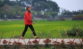 Kênh ngập rác thải biến thành đường hoa ở Hà Nội