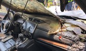 Giữa trời trưa nắng, xe Honda CR-V bỗng nhiên bốc cháy