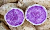 400.000 đồng một kg khoai lang vỏ trắng ruột tím