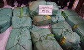 Cận cảnh vụ bắt gần 3 tạ ma túy từ Lào về Việt Nam