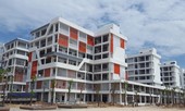 Cấp 25 suất học bổng 100% học phí toàn khóa học cho tân sinh viên