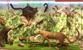 Những mẫu sinh vật rực rỡ trên cao nguyên đá Đồng Văn