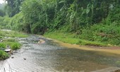 Gấp rút truy tìm xe đổ dầu thải vào nguồn nước sông Đà