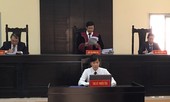 Họa sĩ Lê Linh thắng kiện quyền tác giả 'Thần đồng đất Việt'