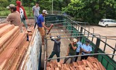 Thủ tướng “mách nước” để ngành gỗ Việt Nam bứt phá!