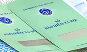TP.HCM xử phạt 11 doanh nghiệp nợ bảo hiểm
